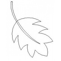 leaf single 003